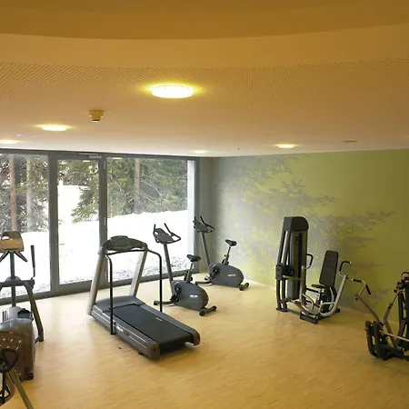 Ξενοδοχείο Waldhotel 4*